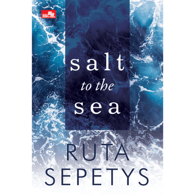 Sampul Salt to the Sea