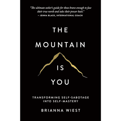 Sampul The Mountain is You