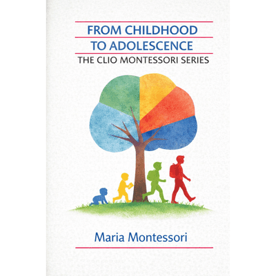 Sampul From Childhood to Adolescence