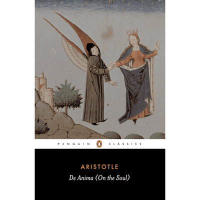 Sampul De Anima