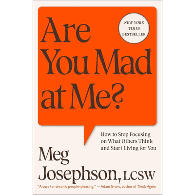 Sampul Are You Mad at Me?