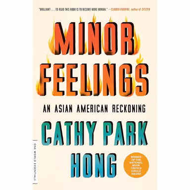 Sampul Minor Feelings