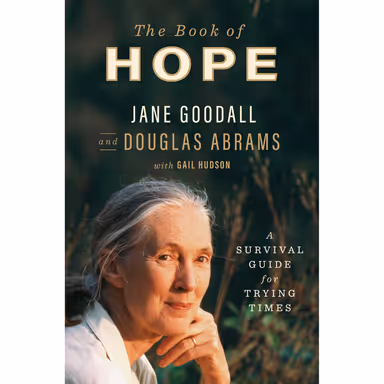 Sampul The Book of Hope