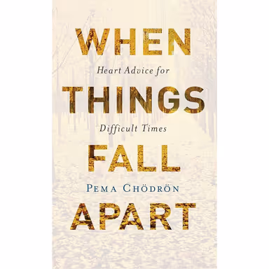Sampul When Things Fall Apart