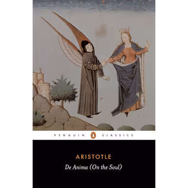 Sampul De Anima