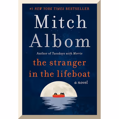 Sampul The Stranger in the Lifeboat