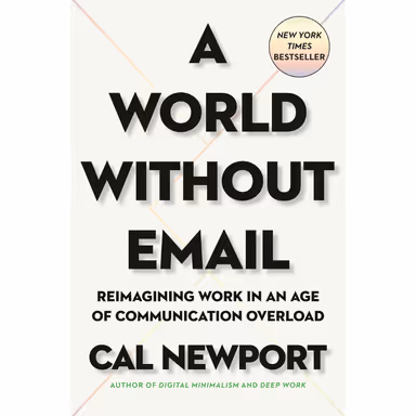 Sampul A World Without Email