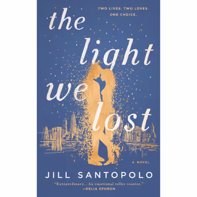 Sampul The Light We Lost