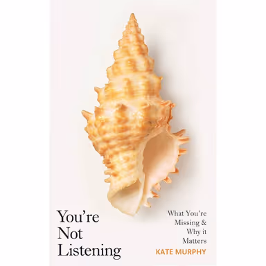 Sampul You're Not Listening