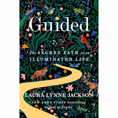 Sampul Guided