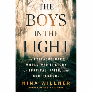 Sampul The Boys In The Light