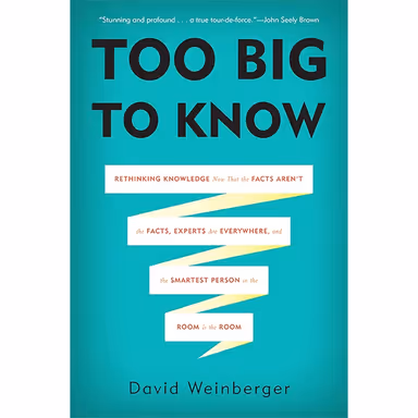 Sampul Too Big To Know