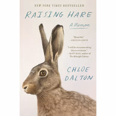 Sampul Raising Hare